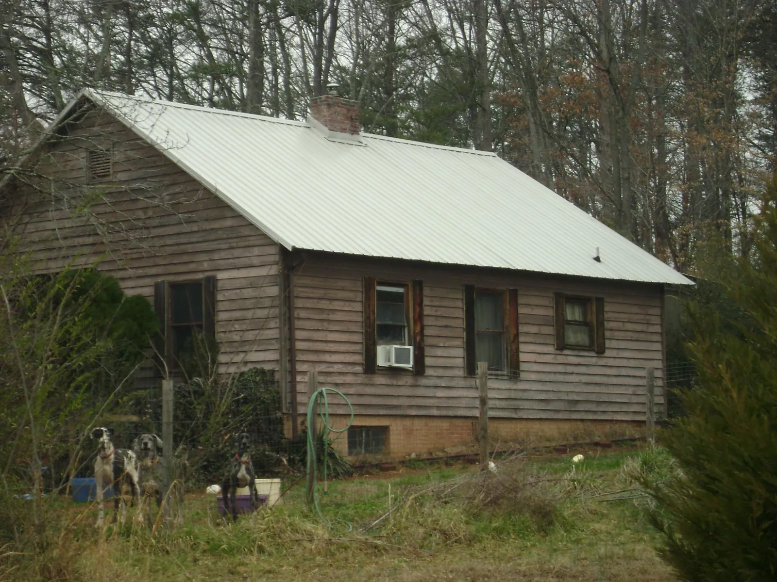 White metal roof on an old wood sided farmhouse, from a Asphalt Shingle Roof Repair job in Alamo